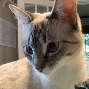 Meet your Posher, Rick